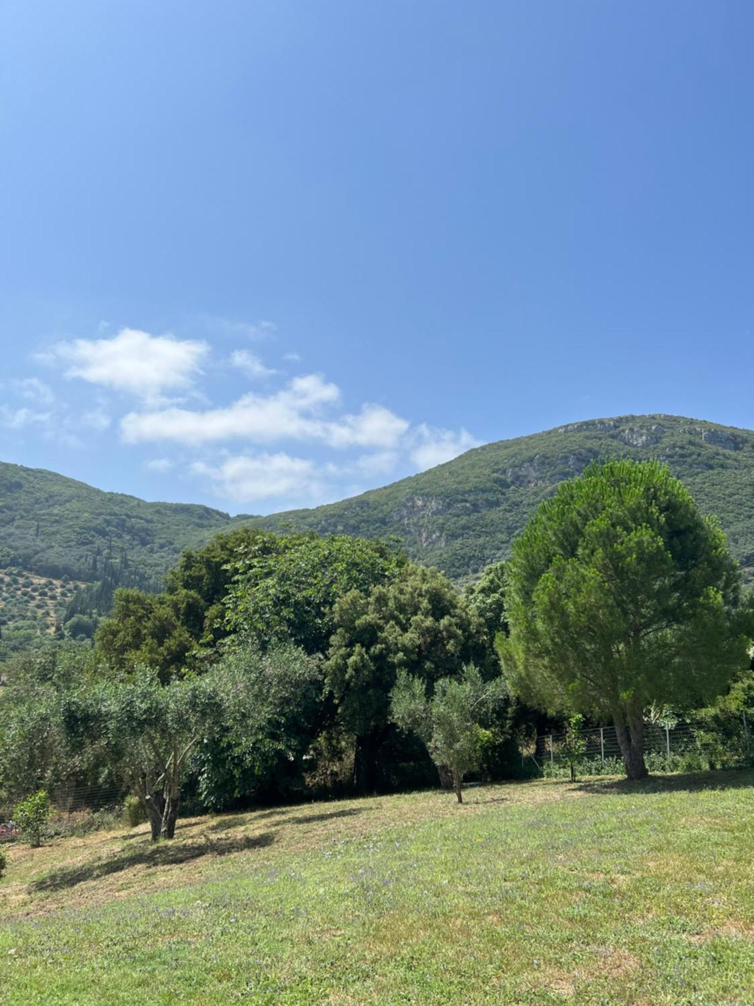 Villa Alexakis Doukades Bagian luar foto
