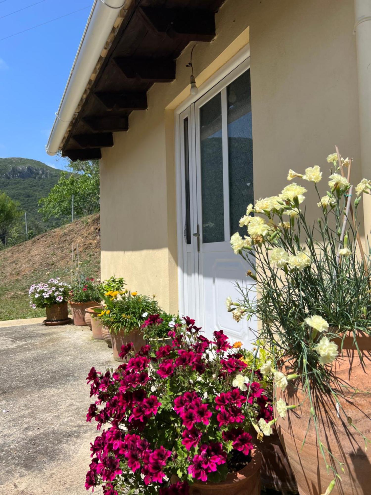 Villa Alexakis Doukades Bagian luar foto
